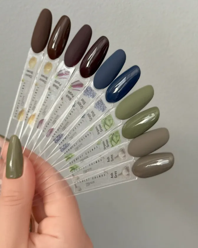 Trendy Nails Esmalte Semipermanente Ash Grey, 8ml — Photo 4