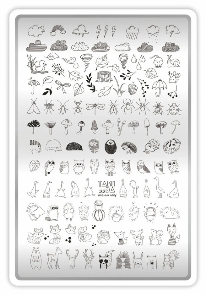 Placa para Estampar TakiDa con Demo hoja, 22 — Photo 2