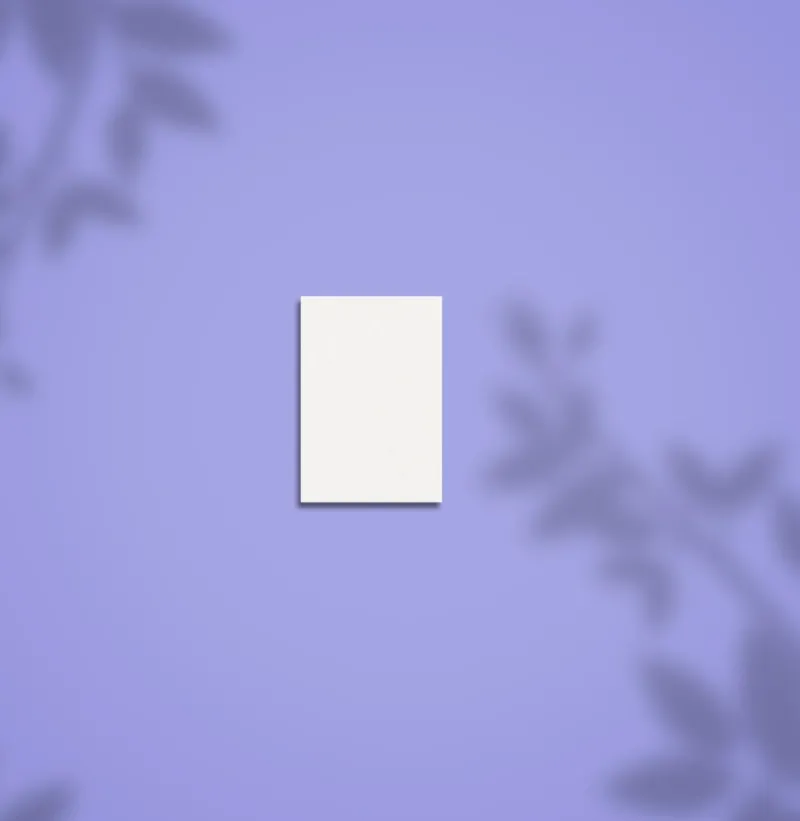 STALEKS Limas pulidoras 100/180 grano (50uds) — Photo 2