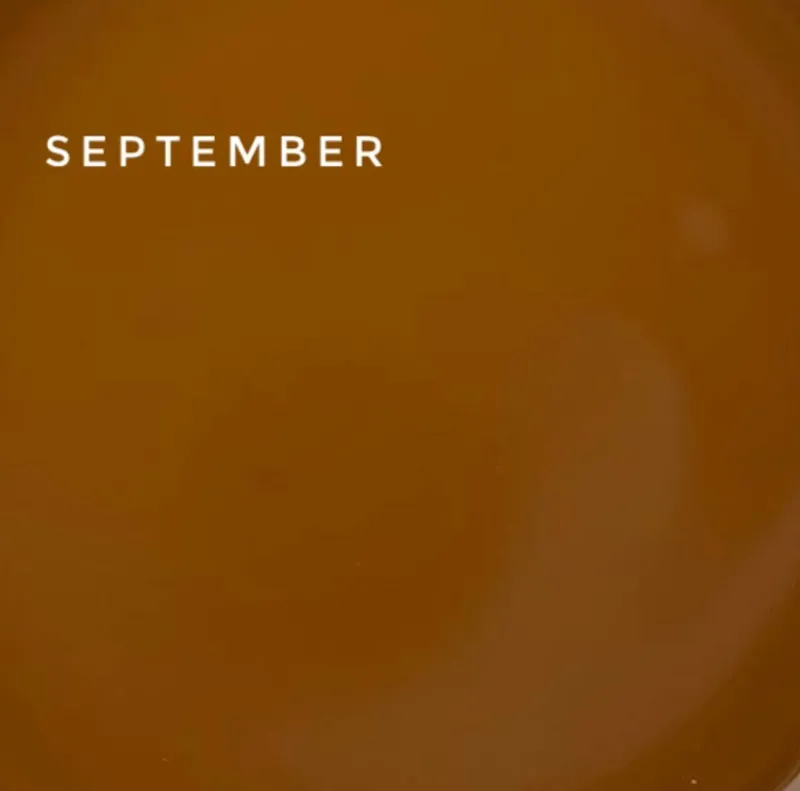 TOUCH Cover Base September, 13ml — Photo 2