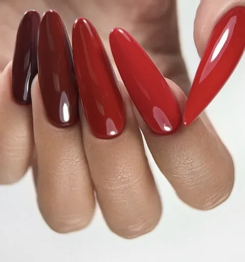 Catalog Page — Photo 1