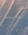 Edlen Twinkle Paste 01, 5ml — Photo 5