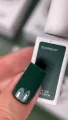 NAILSOFTHEDAY Color of the month September 2025 Everroot, 10ml — Photo 6