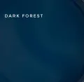 TOUCH Cover Base Dark forest, 13ml — Photo 4