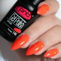 PNB Esmalte Semipermanente 146, 8ml — Photo 5