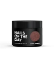 NAILSOFTHEDAY Polygel Shimmer 06, 30g — Photo 7