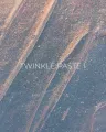 Edlen Twinkle Paste 01, 5ml — Photo 5