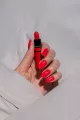Saute Nails Coleccion That Girl Essentials (5+1) — Photo 12