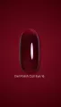 Dark by Rior Esmalte Semipermanente Cat Eye 16, 6ml — Photo 4