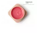 Trendy Nails Modeling Gel Flowering Garden, 15ml — Photo 5