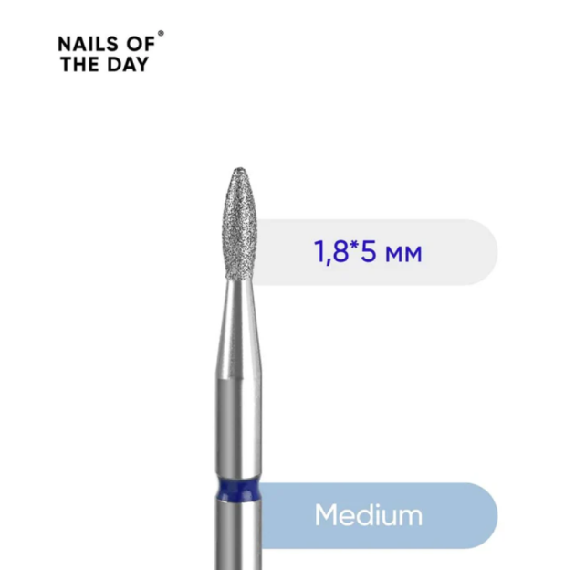 Catalog — Photo 10