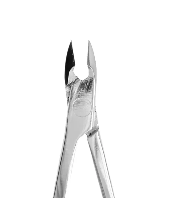 Catalog — Photo 21