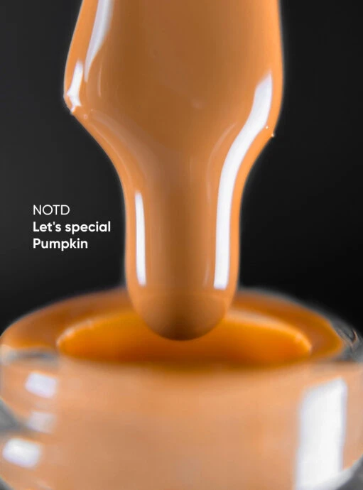 Catalog — Photo 25