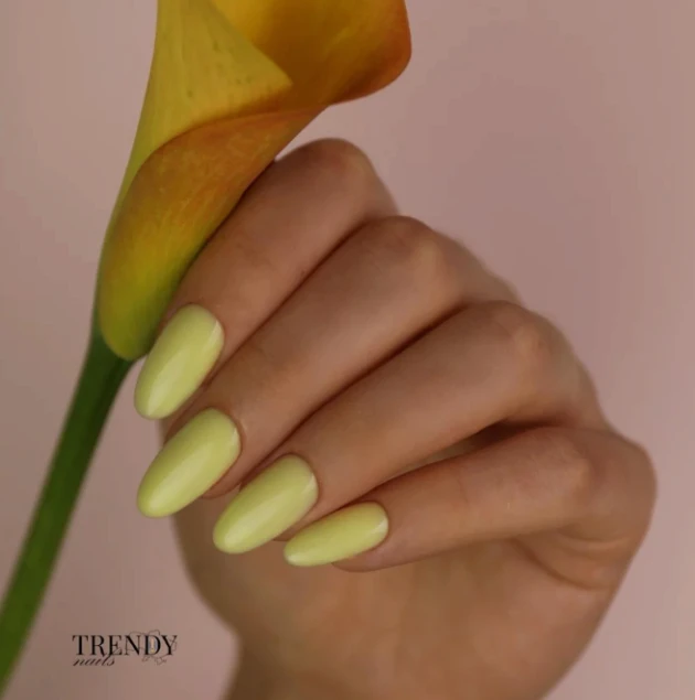 Bases Trendy nails — Photo 17