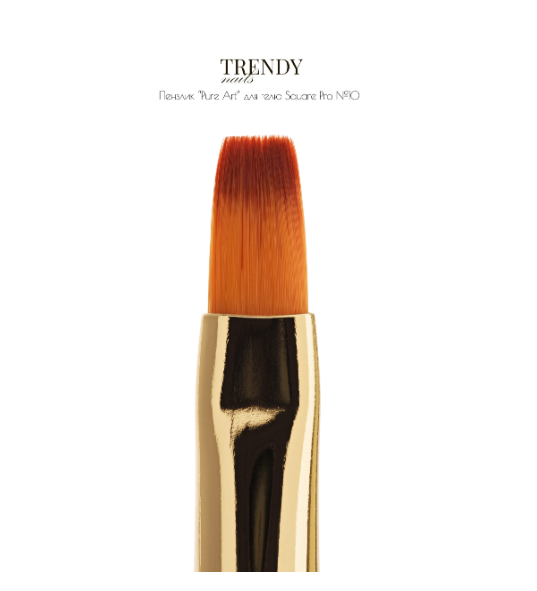 Catalog — Photo 29