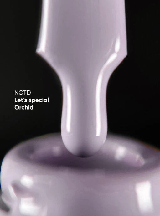 Catalog — Photo 16