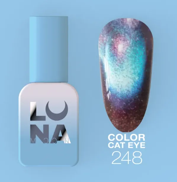 Catalog — Photo 6