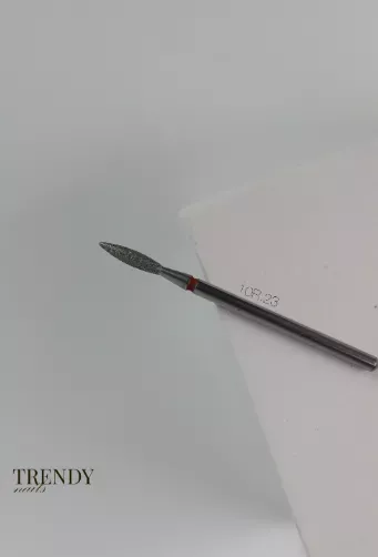 Catalog — Photo 17