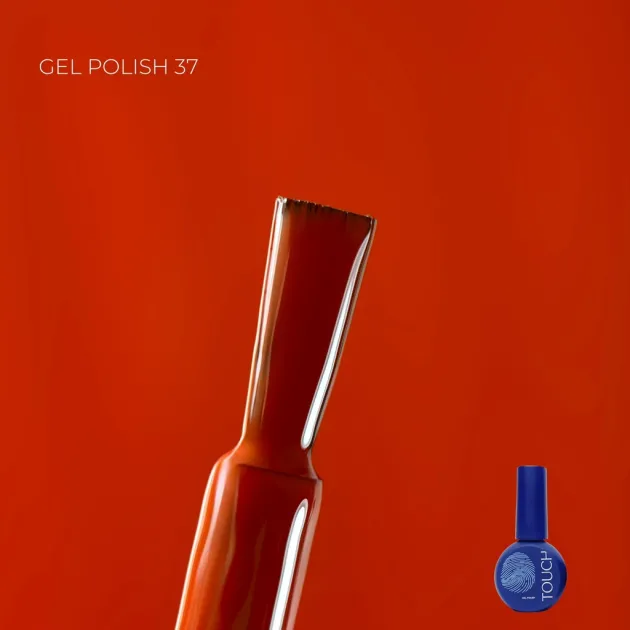 Catalog — Photo 31