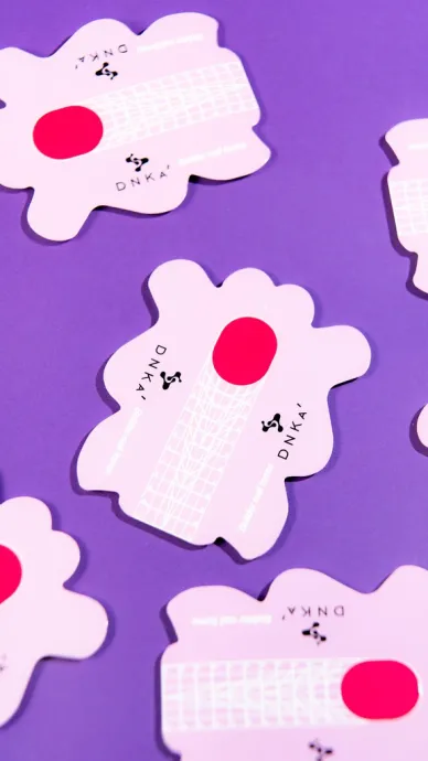 Catalog — Photo 12