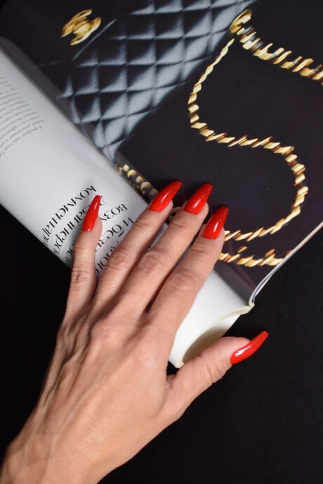 Catalog — Photo 11