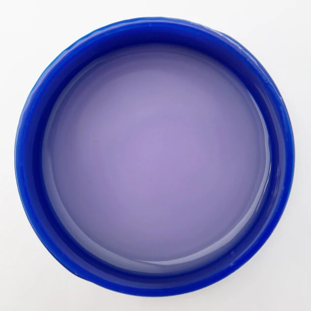 Catalog — Photo 16