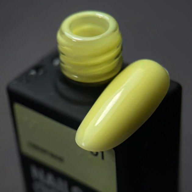 Catalog — Photo 31