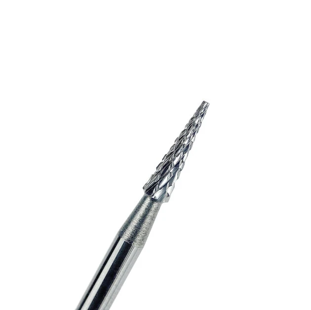 Catalog — Photo 18
