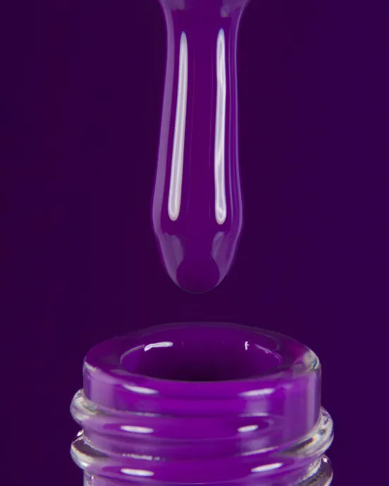 Catalog — Photo 19