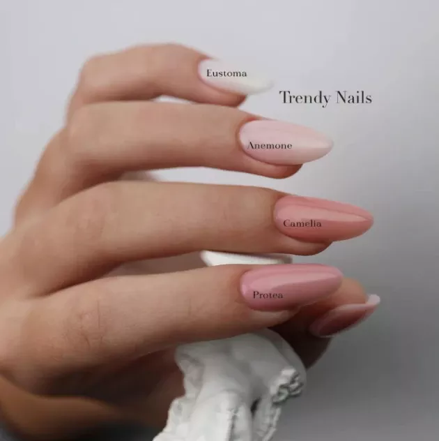 Fiber Base Trendy Nails — Photo 7