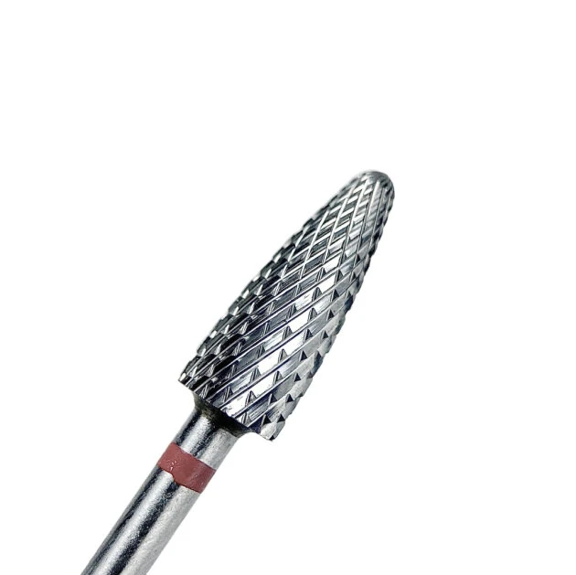 Catalog — Photo 16