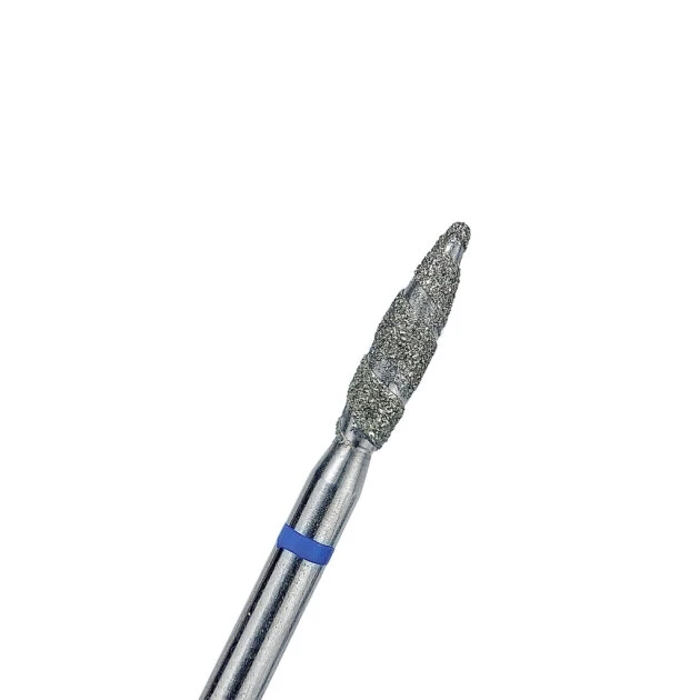 Catalog